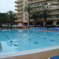 фото из отзыва ID 772171