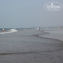 фото из отзыва ID 772202