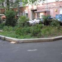 фото из отзыва ID 772203