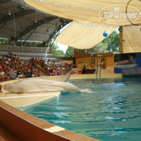 фото из отзыва ID 772450