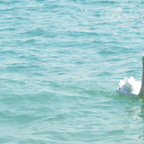 фото из отзыва ID 772492