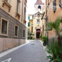 фото из отзыва ID 772492