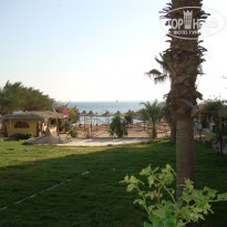 фото из отзыва ID 772842