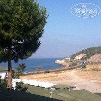 фото из отзыва ID 772929