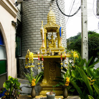 фото из отзыва ID 772991