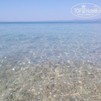 фото из отзыва ID 772786