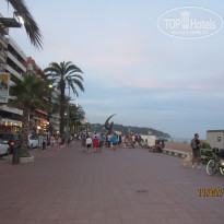 фото из отзыва ID 772965