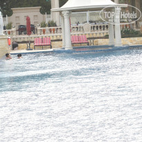 фото из отзыва ID 772525