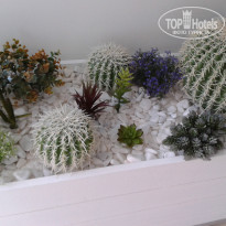 фото из отзыва ID 773207