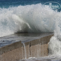 фото из отзыва ID 773256