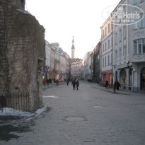 фото из отзыва ID 773259