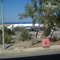 фото из отзыва ID 773284