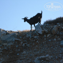 фото из отзыва ID 773328