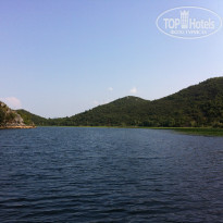 фото из отзыва ID 773380