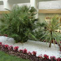 фото из отзыва ID 773444