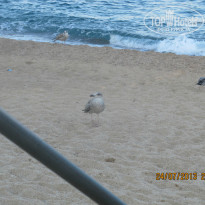 фото из отзыва ID 773444