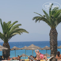 фото из отзыва ID 773519