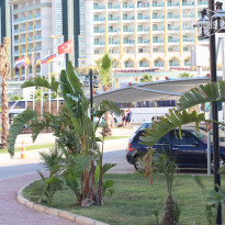 фото из отзыва ID 773524