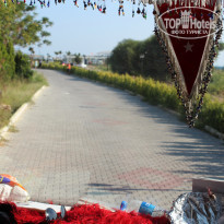 фото из отзыва ID 773524