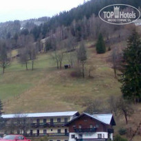 фото из отзыва ID 77350