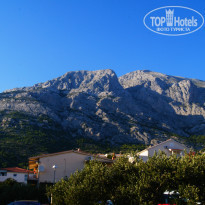 фото из отзыва ID 774002