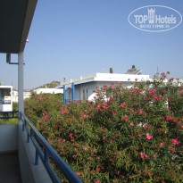 фото из отзыва ID 774020