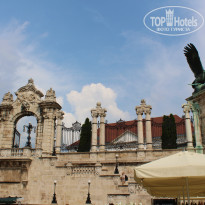 фото из отзыва ID 774094