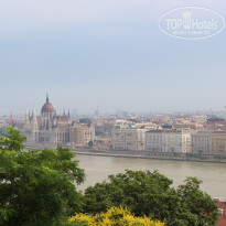 фото из отзыва ID 774094