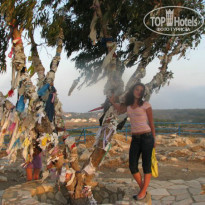 фото из отзыва ID 774209