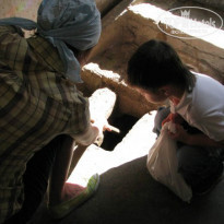 фото из отзыва ID 774209