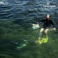 фото из отзыва ID 774275