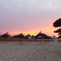 фото из отзыва ID 774578