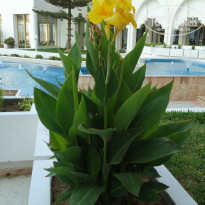 фото из отзыва ID 774748