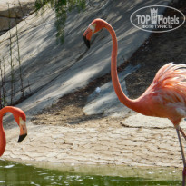 фото из отзыва ID 774748