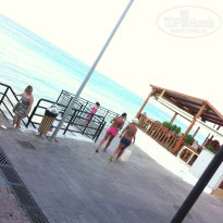 фото из отзыва ID 774967