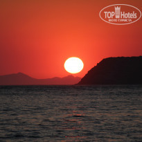 фото из отзыва ID 774707