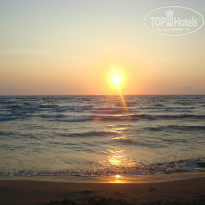 фото из отзыва ID 774506