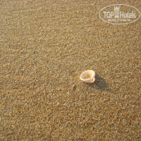 фото из отзыва ID 774506