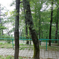 фото из отзыва ID 775281