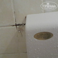 фото из отзыва ID 775298