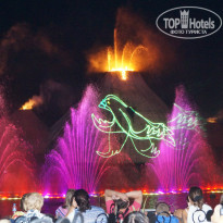 фото из отзыва ID 775411