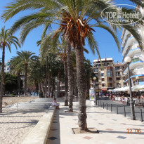 фото из отзыва ID 775558