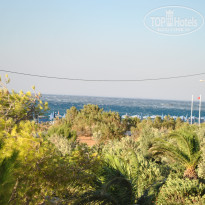 фото из отзыва ID 775587