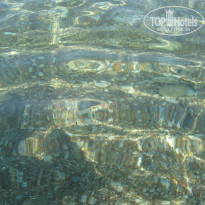 фото из отзыва ID 775647