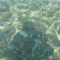 фото из отзыва ID 775647