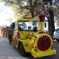 фото из отзыва ID 775661