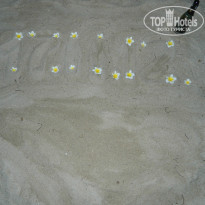 фото из отзыва ID 775684