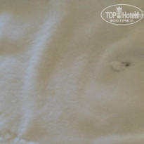 фото из отзыва ID 775784