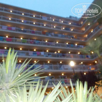 фото из отзыва ID 775895