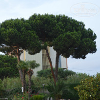 фото из отзыва ID 775895